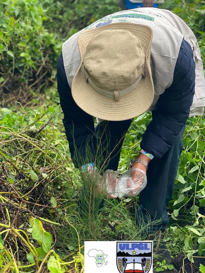 Descente sur le terrain à l'occasion de la Journée de l'arbre : Action de sensibilisation et préservation par la Clinique Environnementale du CREDDA